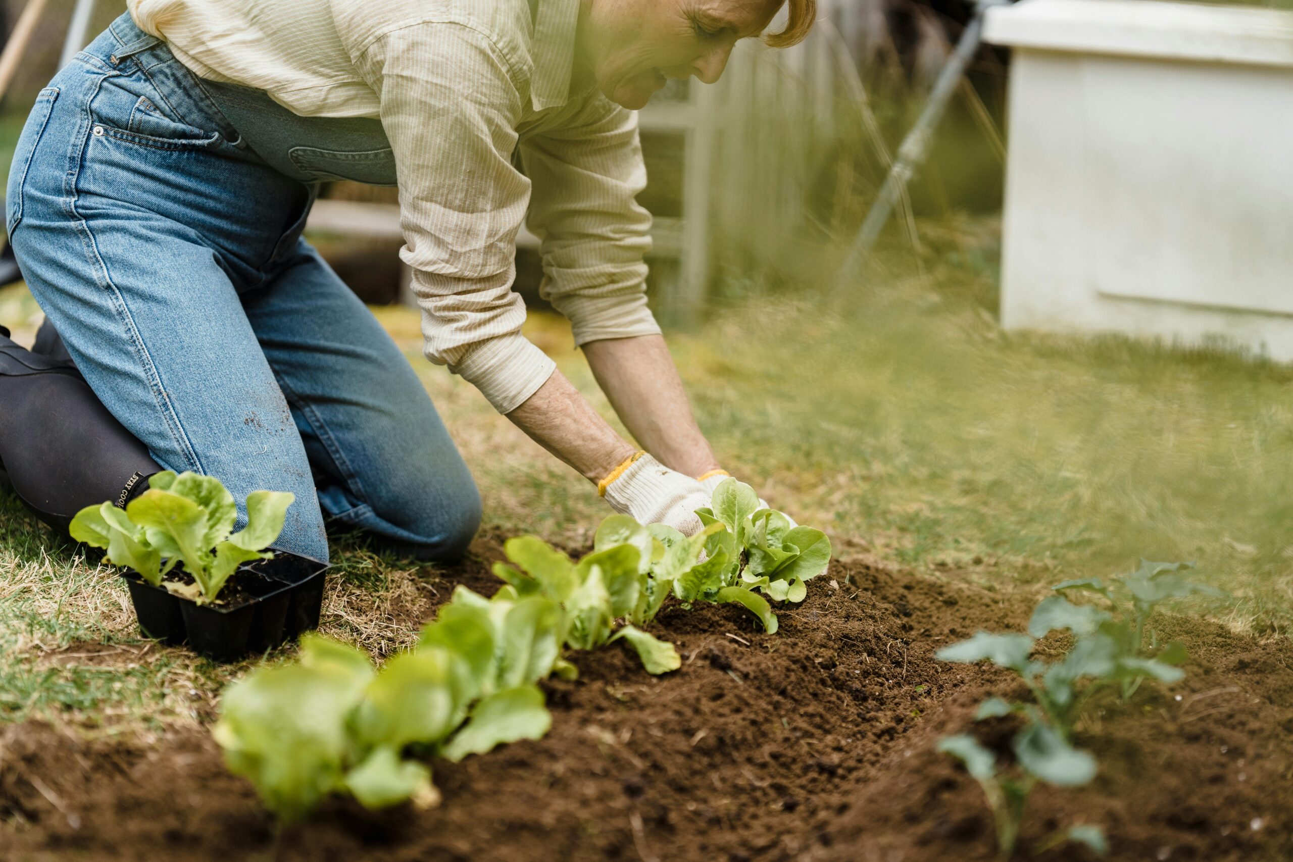 Frugal Gardening: 10 Genius Ways to Grow Your Own Food for Almost Free